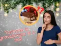 Una donna incinta pensa se mangiare il torrone durante la gravidanza, con un'immagine di torrone e decorazioni natalizie.