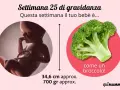 A 25 settimane di gravidanza, il tuo bebè è grande come un broccolo, lungo circa 34,6 cm e pesa 700 gr.
