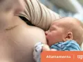 Neonato al seno, un momento di nutrimento. Informazioni su controindicazioni allattamento prolungato.