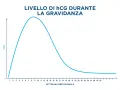 Grafico mostra l'andamento del beta hcg durante la gravidanza, con un picco intorno alla 9-10 settimana e poi un calo graduale.