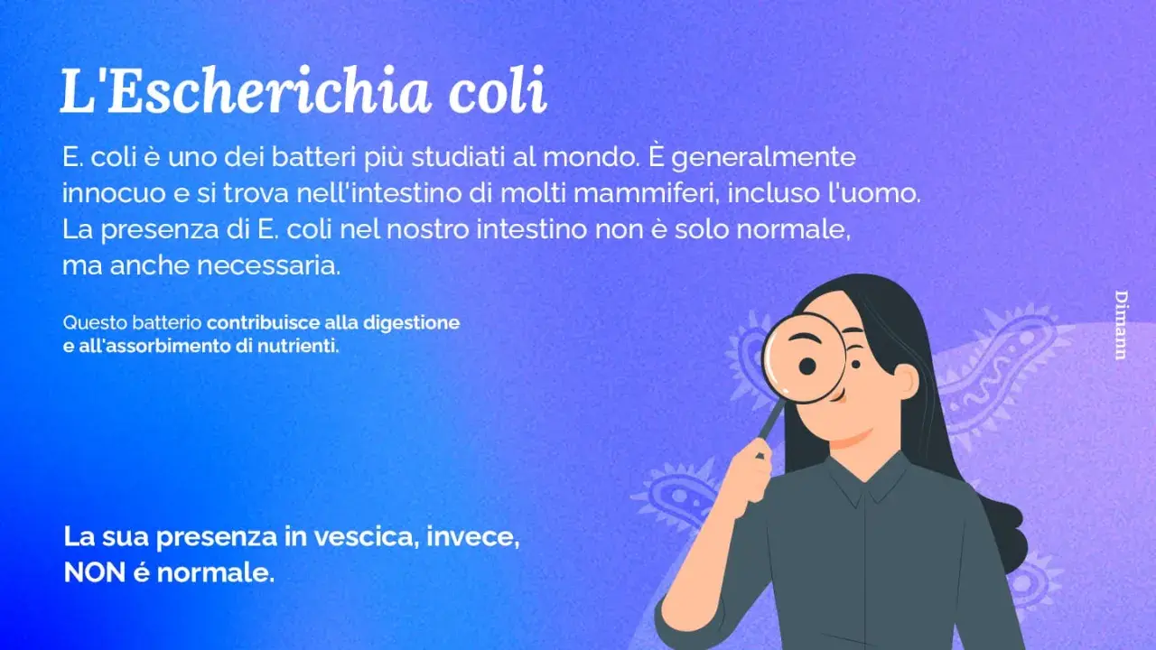 Una donna osserva un batterio escherichia coli con una lente d'ingrandimento. Il testo spiega che l'E. coli è normale nell'intestino ma non nella vescica.