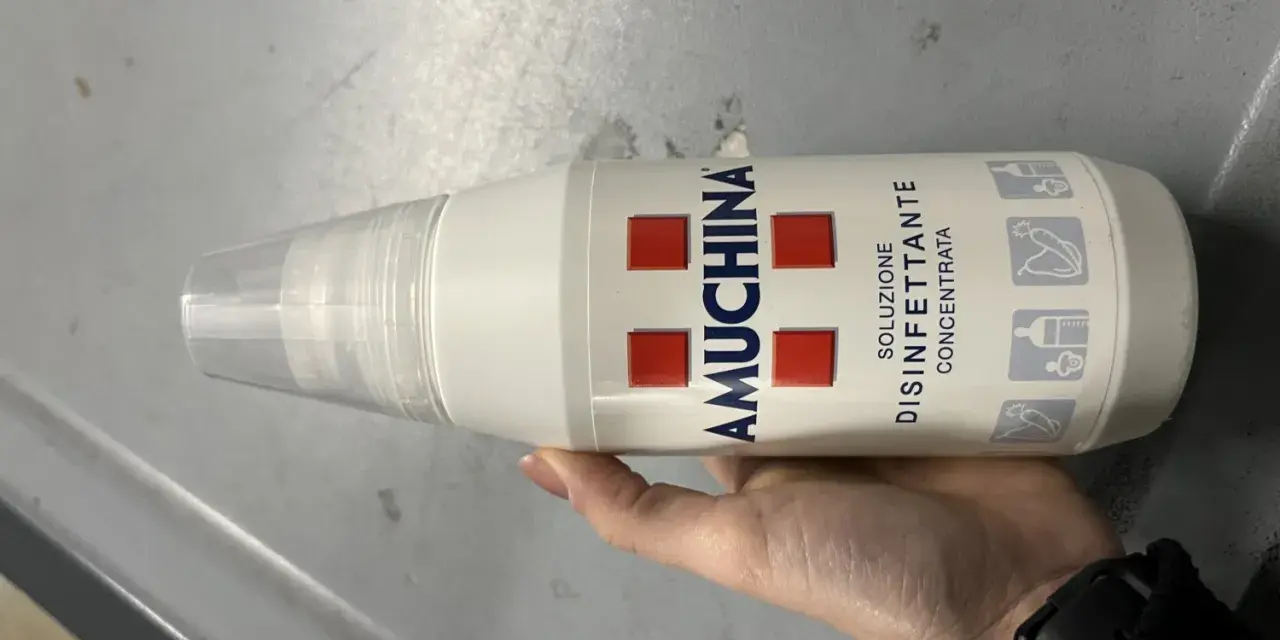 Mano tiene flacone Amuchina per disinfettare ciuccio. Soluzione disinfettante concentrata per igiene.