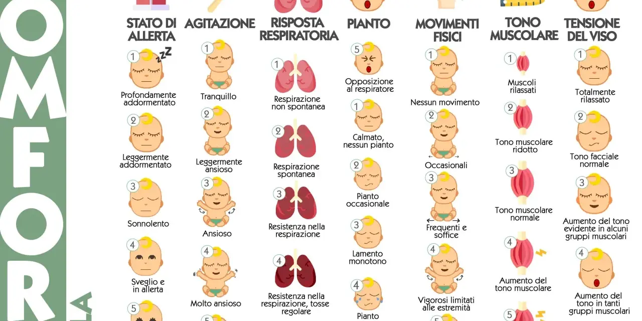 Come capire se un neonato ha il reflusso? La scala COMFORT valuta stato di allerta, agitazione, respiro, pianto, movimenti e tono muscolare.