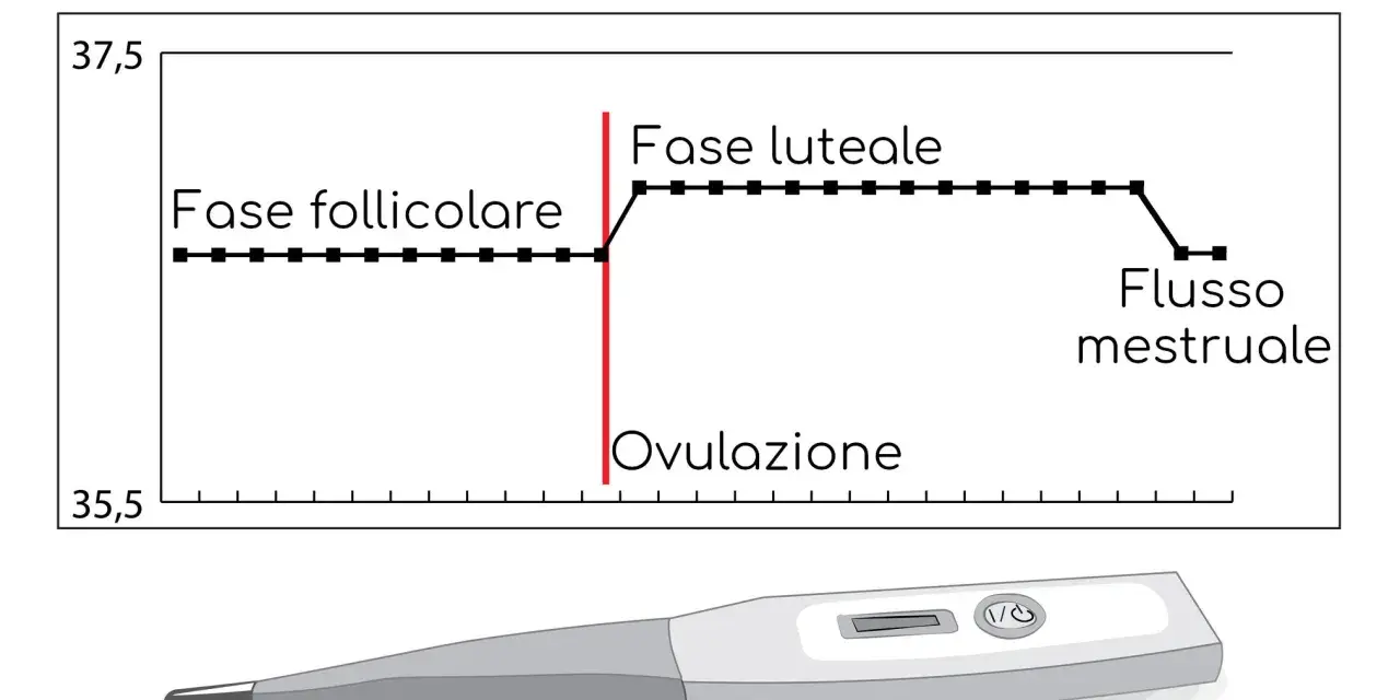Grafico della temperatura basale prima del ciclo, mostra la fase follicolare, ovulazione e fase luteale. Sotto, un termometro digitale.