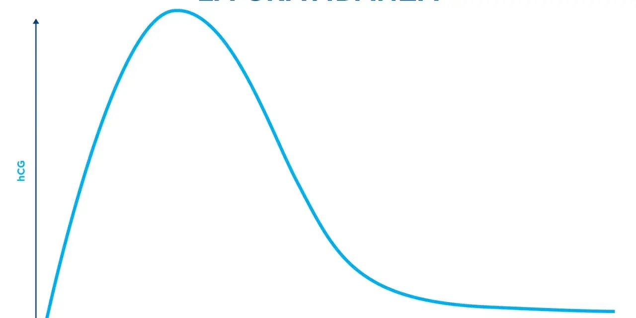 Grafico mostra l'andamento del beta hcg durante la gravidanza, con un picco intorno alla 9-10 settimana e poi un calo graduale.