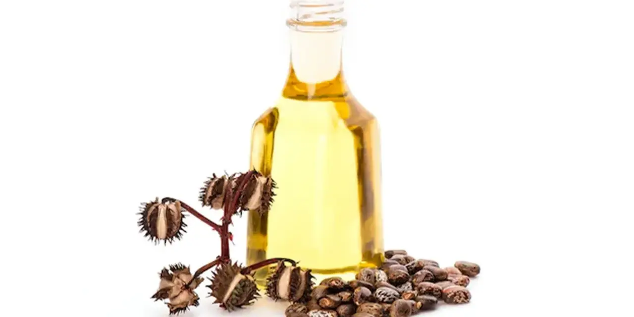 Olio di ricino per partorire: una bottiglia di olio dorato accanto a semi di ricino e capsule spinose.