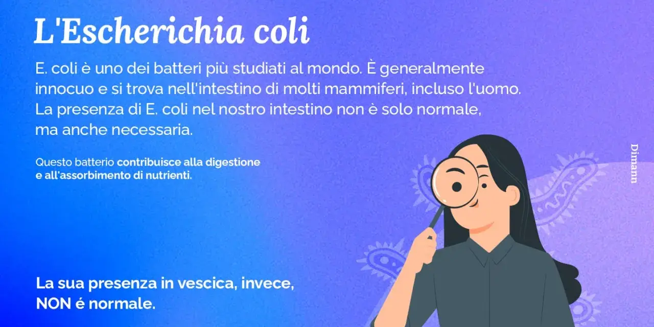 Una donna osserva un batterio escherichia coli con una lente d'ingrandimento. Il testo spiega che l'E. coli è normale nell'intestino ma non nella vescica.