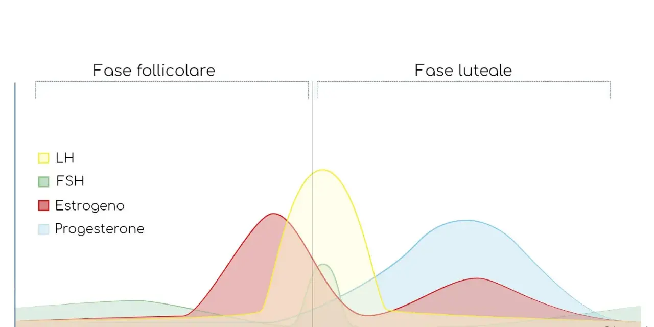 Grafico del ciclo mestruale: il valore del progesterone aumenta dopo l'ovulazione, fondamentale per l'attecchimento.
