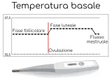 Grafico della temperatura basale prima del ciclo, mostra la fase follicolare, ovulazione e fase luteale. Sotto, un termometro digitale.