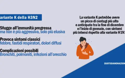 Variante K dell'influenza H3N2: elusiva, causa sintomi classici e possibili complicazioni. Picco contagi previsto a fine anno.