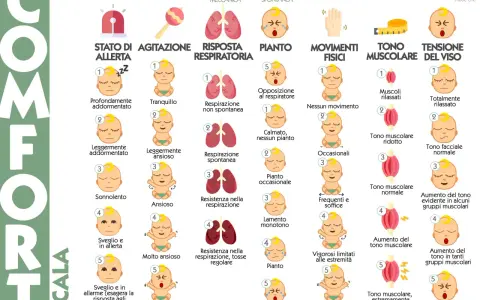 Come capire se un neonato ha il reflusso? La scala COMFORT valuta stato di allerta, agitazione, respiro, pianto, movimenti e tono muscolare.