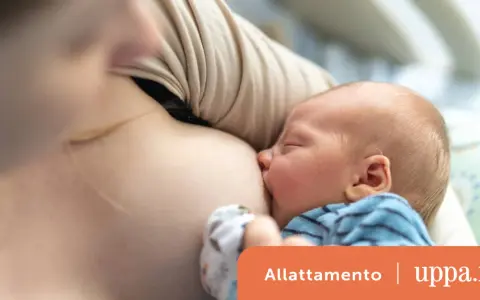 Neonato al seno, un momento di nutrimento. Informazioni su controindicazioni allattamento prolungato.