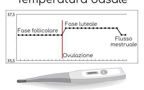 Grafico della temperatura basale prima del ciclo, mostra la fase follicolare, ovulazione e fase luteale. Sotto, un termometro digitale.
