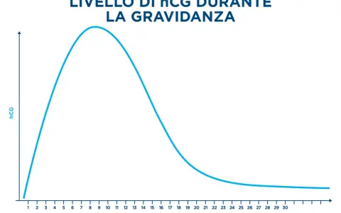 Grafico mostra l'andamento del beta hcg durante la gravidanza, con un picco intorno alla 9-10 settimana e poi un calo graduale.