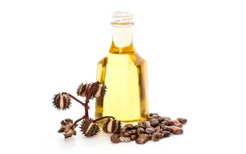 Olio di ricino per partorire: una bottiglia di olio dorato accanto a semi di ricino e capsule spinose.