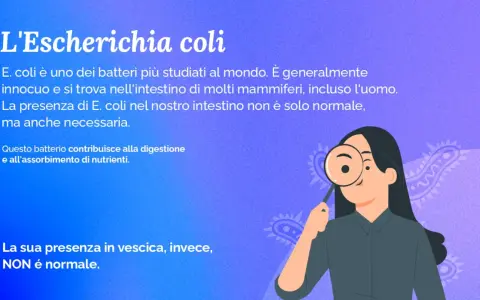 Una donna osserva un batterio escherichia coli con una lente d'ingrandimento. Il testo spiega che l'E. coli è normale nell'intestino ma non nella vescica.