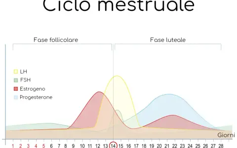 Grafico del ciclo mestruale: il valore del progesterone aumenta dopo l'ovulazione, fondamentale per l'attecchimento.
