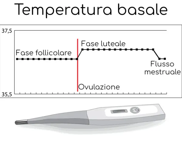Grafico della temperatura basale prima del ciclo, mostra la fase follicolare, ovulazione e fase luteale. Sotto, un termometro digitale.