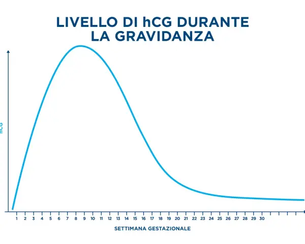 Grafico mostra l'andamento del beta hcg durante la gravidanza, con un picco intorno alla 9-10 settimana e poi un calo graduale.