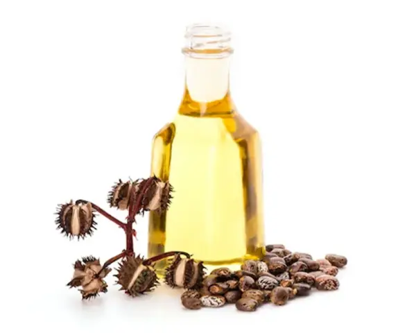 Olio di ricino per partorire: una bottiglia di olio dorato accanto a semi di ricino e capsule spinose.