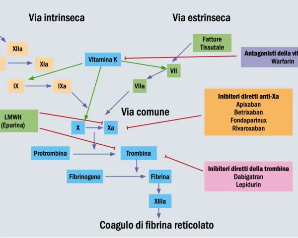 Schema coagulazione: Lixiana (rivaroxaban) è un inibitore diretto anti-Xa, che blocca la via comune della coagulazione.