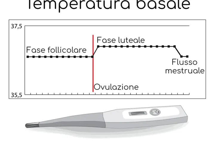 Grafico della temperatura basale prima del ciclo, mostra la fase follicolare, ovulazione e fase luteale. Sotto, un termometro digitale.