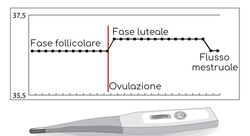 Grafico della temperatura basale prima del ciclo, mostra la fase follicolare, ovulazione e fase luteale. Sotto, un termometro digitale.