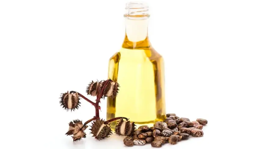 Olio di ricino per partorire: una bottiglia di olio dorato accanto a semi di ricino e capsule spinose.