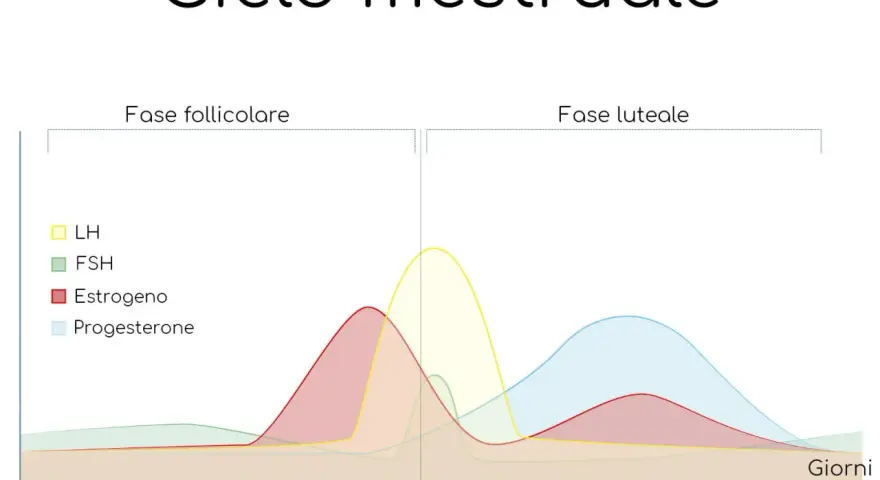 Grafico del ciclo mestruale: il valore del progesterone aumenta dopo l'ovulazione, fondamentale per l'attecchimento.