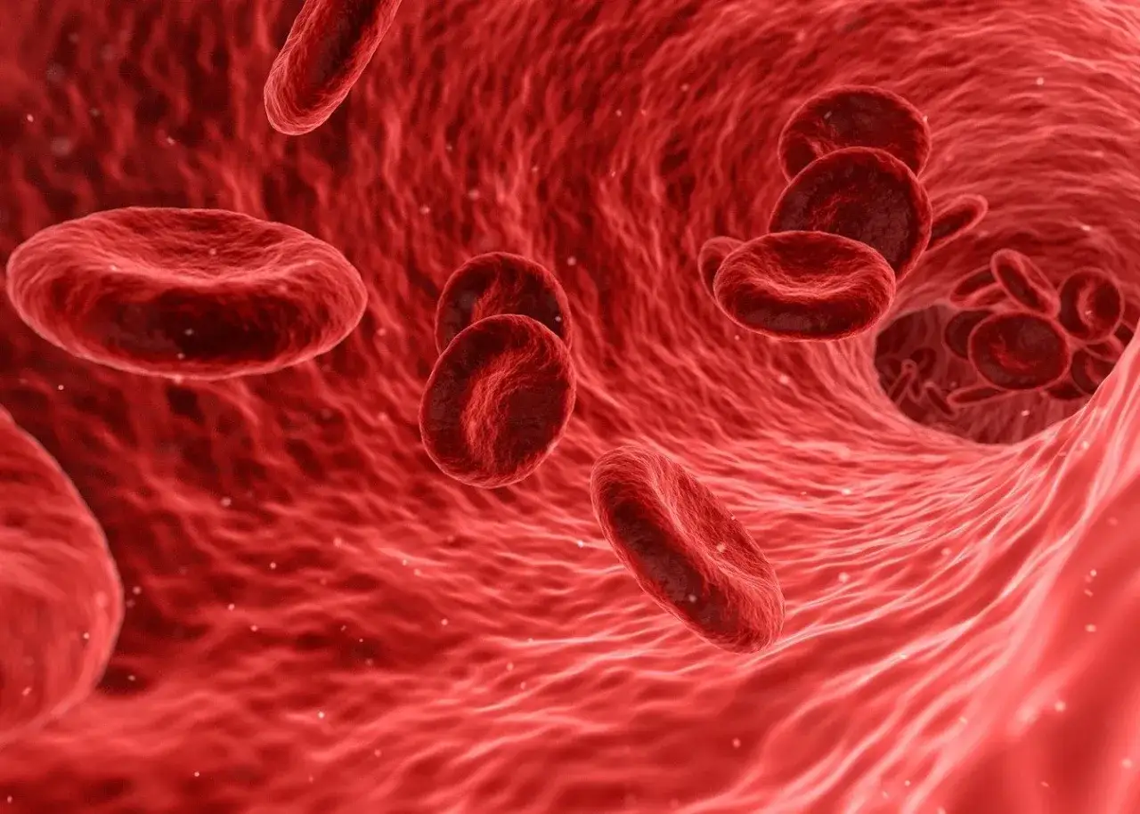Globuli rossi in un vaso sanguigno. Quando preoccuparsi per le emorroidi?