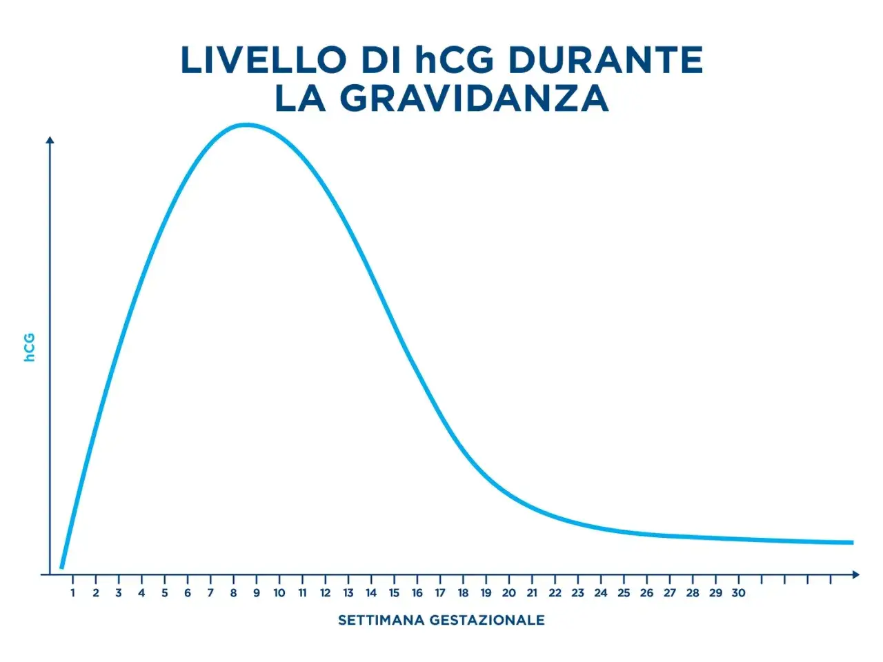 Grafico mostra l'andamento del beta hcg durante la gravidanza, con un picco intorno alla 10&ordf; settimana e poi un calo progressivo.