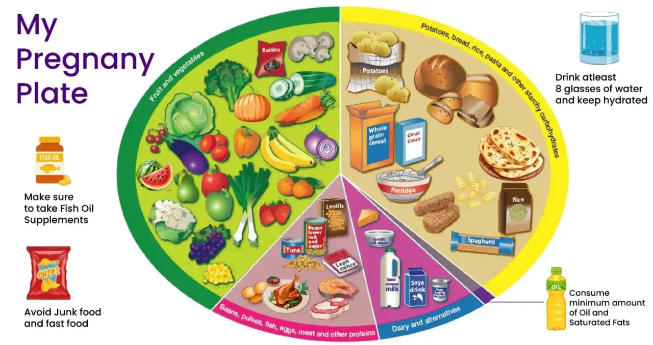 Piatto ideale per la gravidanza: frutta, verdura, carboidrati, proteine e latticini. Evita junk food. Utile come tabella cosa non mangiare in gravidanza.