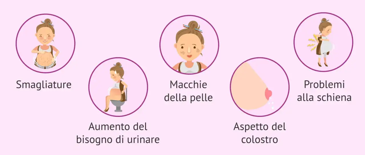 Cambiamenti comuni nel seno e nel corpo durante le prime settimane di gravidanza: smagliature, macchie sulla pelle, aumento del bisogno di urinare, colostro e mal di schiena.