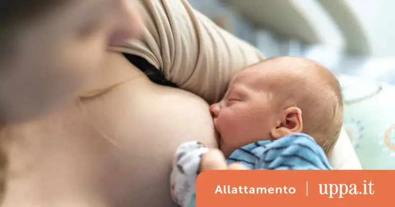 Neonato al seno, un momento di nutrimento. Informazioni su controindicazioni allattamento prolungato.