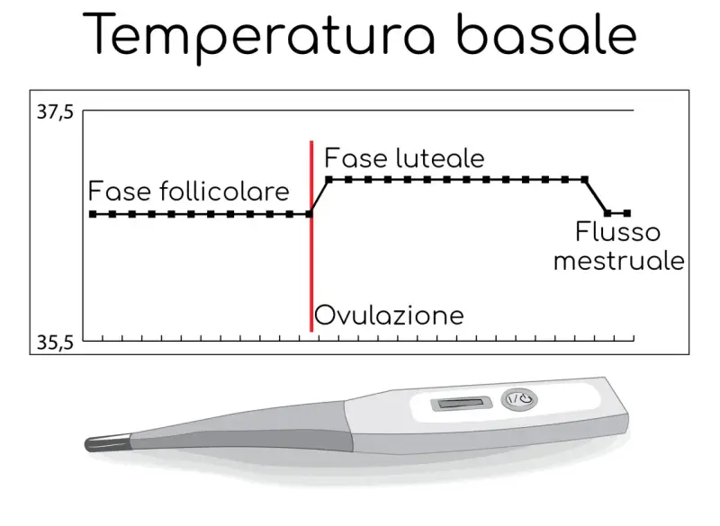 Grafico della temperatura basale prima del ciclo, mostra la fase follicolare, ovulazione e fase luteale. Sotto, un termometro digitale.